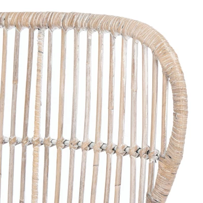 Lenu Rattan Accent Chair W/ Cushion - Grey White Wash/White/ Black - Safavieh - Image 7