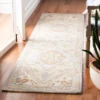 Heritage HG920 Hand Loomed Area Rug - Safavieh